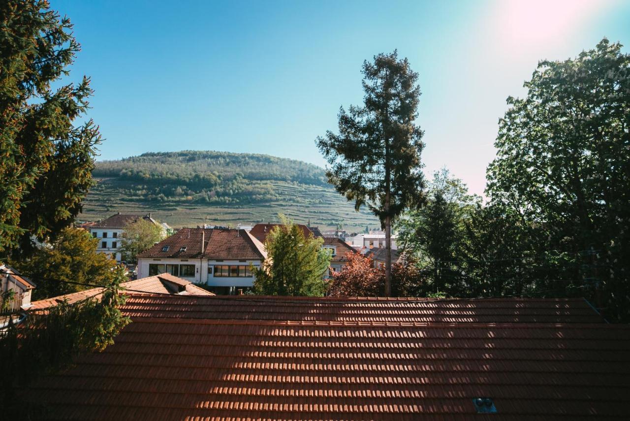 Domaine Boheme I Art De Vivre Apartment กีบวิลเลอร์ ภายนอก รูปภาพ