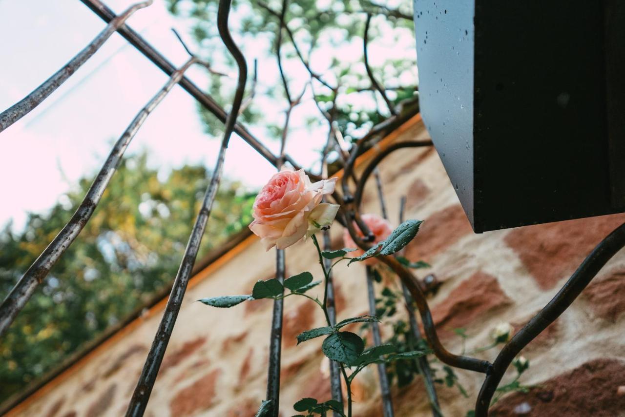 Domaine Boheme I Art De Vivre Apartment กีบวิลเลอร์ ภายนอก รูปภาพ